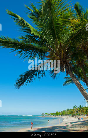 Dominikanische Republik, Norden, Puerto Plata, Costambar-Strang Stockfoto