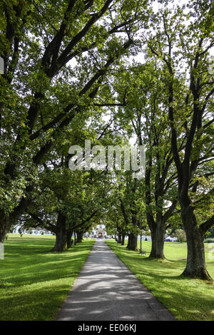 Schlosspark Höhenried Bei Bernried, am Starnberger See, Bayern, Oberbayern, Deutschland, Schloss Garten Hoehenried in der Nähe von Bernried Stockfoto