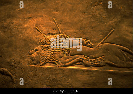 British Museum, London England UK. Assyrische Löwenjagd. Januar 2015 König Ashurbanipal Jagd Löwen. Bas-Relief-Panel in geschnitzt Stockfoto