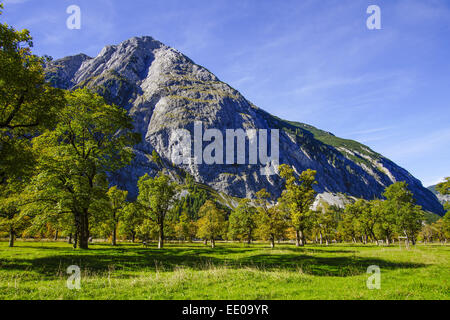 Grosser Ahornboden, Karwendelgebirges, Tirol, Österreich, Europa, Karwendelgebirge, Österreich, Europa, Tirol, Karwendel, montieren Stockfoto