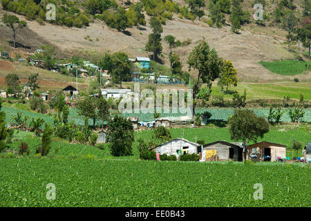 Dominikanische Republik, Cordillera Central, Constanza Stockfoto