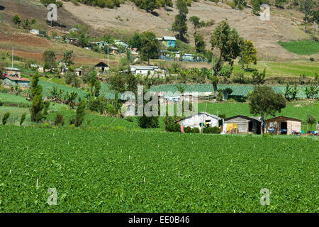 Dominikanische Republik, Cordillera Central, Constanza Stockfoto