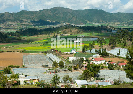 Dominikanische Republik, Cordillera Central, Constanza, Colonia Japonesa Stockfoto