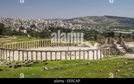 Jerash, Jordanien - Pompeji des Nahen Ostens Stockfoto