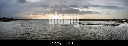 Pagham Harbour Nature Reserve in der Nähe von Chichester, West Sussex, UK Stockfoto