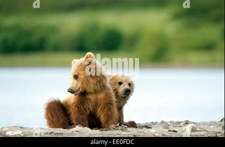 zwei junge tragen jungen am See Stockfoto