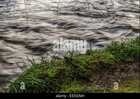 Der Fluss Fowey durch Golitha fällt National Nature Reserve in Cornwall. Stockfoto