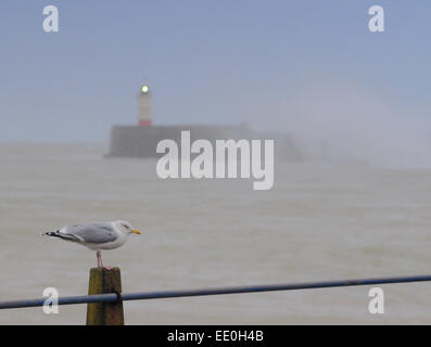 Newhaven, East Sussex, Großbritannien. Januar 2015. Szenen von der Küste von Sussex, während der Wind verstärkt und die Wellen aufschlägt. Extremere Bedingungen werden prognostiziert. Noch warm für die Jahreszeit bei 9,5 Grad Stockfoto