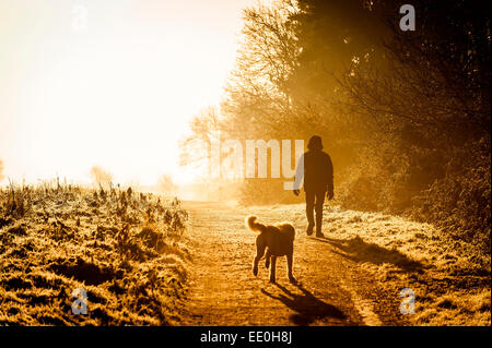 Ein Mann, der seinen Hund in die intensiven Sonnenstrahlen eines frühen Morgens Sonnenaufgang in Thorndon Park in der Grafschaft Essex. Stockfoto