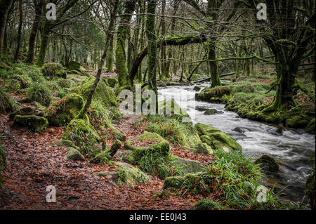 Golitha Falls in Cornwall - der Fluss Fowey, der durch das Golitha Falls National Nature Reserve in Cornwall fließt. Stockfoto