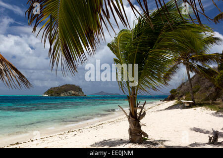 Ruhigen Strand von Petit Bateau, Palm Trees Blick auf Jamesby und fernen Grenadine Inseln. Tobago Cays. Die Grenadinen. Stockfoto