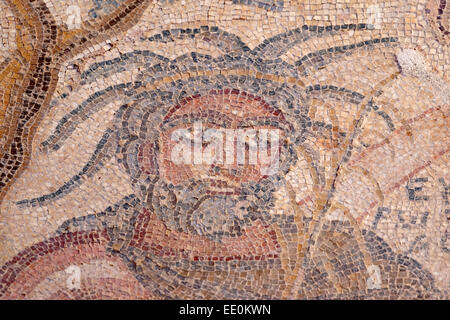 Detail aus Mosaik in das Haus des Aion. Stockfoto