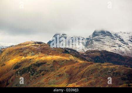 Die Langdale Pikes von oben Tarn Howes, Lake District, Großbritannien. Stockfoto