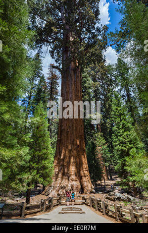 Touristen posieren vor dem General Sherman Tree, eines der größten in der Welt, Sequoia Nationalpark, Kalifornien, USA Stockfoto