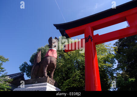 Inari fox Statue und roten Torii im Fushimi Inari-Schrein in Kyōto, Japan Stockfoto