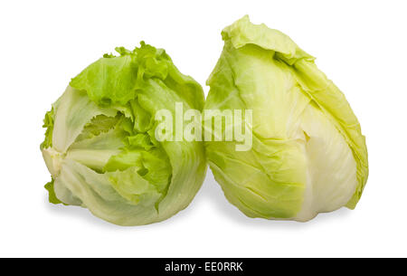Grüner Eisbergsalat isoliert auf weißem Hintergrund Stockfoto
