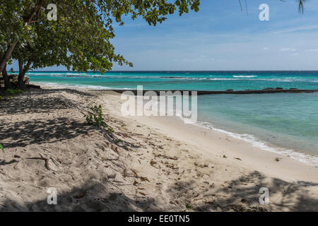 Der Strand von Hastings an der Südküste der karibischen Insel Barbados in den West Indies. Stockfoto