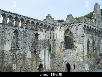 Die Ruinen von St Davids Bischofspalast befindet sich angrenzend an St Davids Cathedral in St Davids, Wales Stockfoto