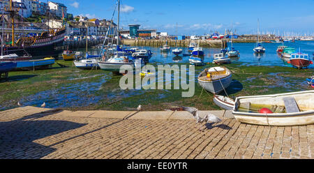 Möwe, die Landung im Inneren Hafen Hafen Brixham Devon England UK Stockfoto