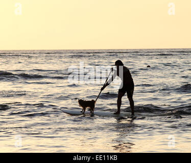 Kauai Bewohner Keoni Durant und seinem Hund in Hanalei Bay Stockfoto