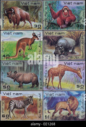 Vietnam - circa 1977: eine Briefmarke gedruckt im Vietnam zeigt Bild der Tiere, Tiere, Serie circa 1977. Stockfoto