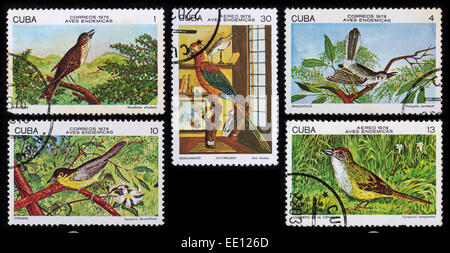Kuba - circa 1978: eine Briefmarke gedruckt in der Kuba zeigt Bild der Vögel, Serie Vögel, ca. 1978. Stockfoto