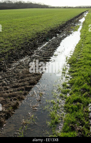 Pfütze und Reifen Spuren in einem schlammigen lane Stockfoto