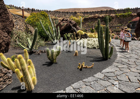 Touristen im Jardin de Cactus, Lanzarote, Kanarische Inseln, Spanien Stockfoto