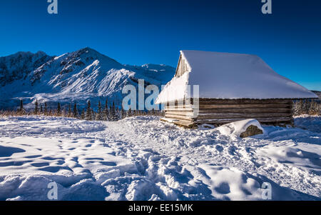 Holzhaus in Winterbergen Stockfoto