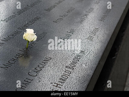 World Trade Center Memorial Namen mit weißer Rose. An einem regnerischen Tag schmückt eine einzelne weiße rose den Namen Michael Joseph Mullin Stockfoto