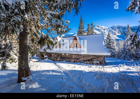 Alte Holzhütte in Winterbergen Stockfoto