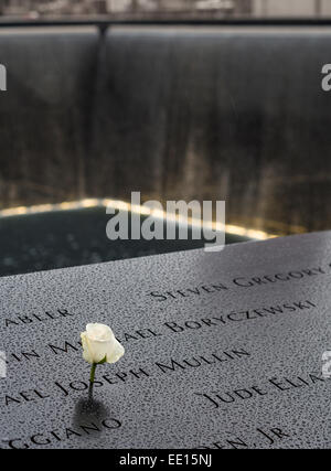 World Trade Center Memorial mit weißer Rose und Wasserfall. An einem regnerischen Tag schmückt eine einzelne weiße rose einen Namen. Stockfoto