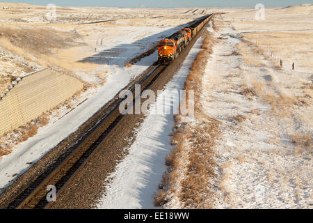 Eine Zuglinie BNSF schleppt Kohle aus der Absaloka Mine in eastern Montana, USA Stockfoto