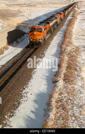 Eine Zuglinie BNSF schleppt Kohle aus der Absaloka Mine in eastern Montana, USA Stockfoto