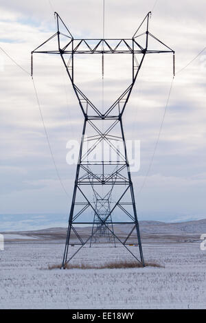 Linie des Overheads hohe Spannung Stromleitungen in einem schneebedeckten Feld Stockfoto
