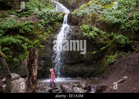 Junge Mädchen, die zu Fuß über den Bach Arroyo de San Jose Wasserfall, Novato, Kalifornien, USA Stockfoto