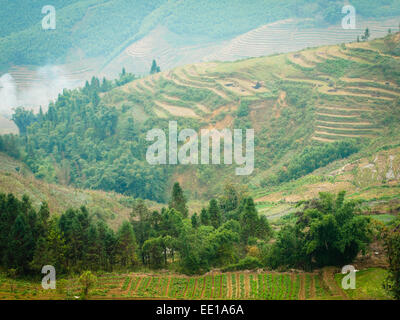 Ein Blick auf Felder und terrassierten Reisfelder etwas außerhalb von Sapa, Vietnam. Stockfoto