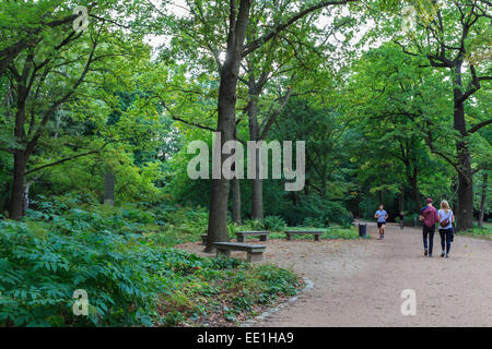 Laufen und schlendern zwischen den Bäumen an einem Herbstabend im Tiergarten Park, Berlin, Deutschland, Europa Stockfoto