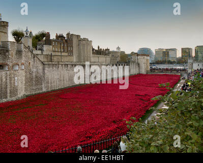 Keramik Mohn bilden die Installation Blut Mehrfrequenzdarstellung Länder und Meere rot, Tower of London, London, England, UK Stockfoto