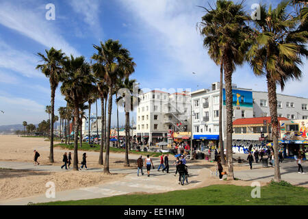 Venice Beach, Los Angeles, California, Vereinigte Staaten von Amerika, Nordamerika Stockfoto