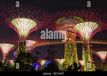 Gärten an der Bucht in der Nacht, Singapur, Südostasien, Asien Stockfoto