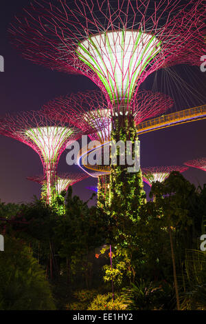 Gärten an der Bucht in der Nacht, Singapur, Südostasien, Asien Stockfoto