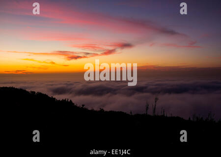 Dichten Nebel bei Sonnenuntergang vom Signal Hill Stockfoto