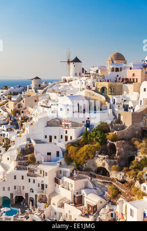 Windmühle und traditionelle Häuser, Oia, Santorini (Thira), Kykladen, griechische Inseln, Griechenland, Europa Stockfoto