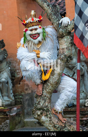 Balinesische Kecak Tänzer, Ubud, Bali, Indonesien, Südostasien, Asien Stockfoto