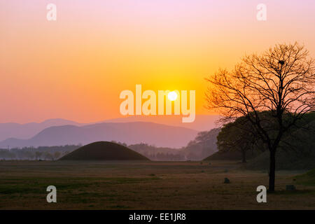 Königliche Gräber Grabhügel bei Sonnenaufgang, UNESCO-Weltkulturerbe, Gyeongju, Gyeongsangbuk-Do, Südkorea, Asien Stockfoto