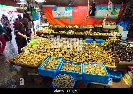 Schale Fisch, Incheon Markt, Südkorea, Asien Stockfoto