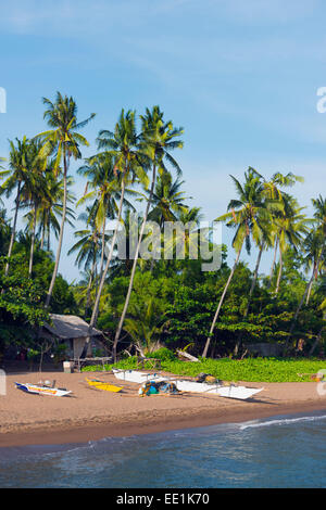 Apo Island, Cebu, Visayas, Philippinen, Südostasien, Asien Stockfoto