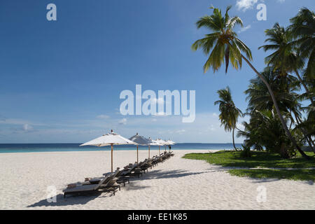 Liegestühle am Strand auf einer Insel in der nördlichen Huvadhu Atoll, Malediven, Indischer Ozean, Asien Stockfoto