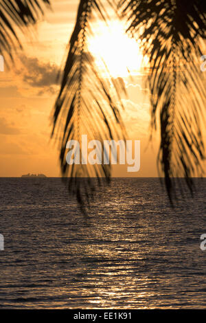 Ein tropischer Sonnenuntergang durch Palm Blätter auf einer Insel in den Malediven, Indischer Ozean, Asien Stockfoto